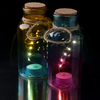 Ombre Glass Bottle Lights (2 Pack)