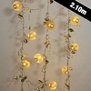 Ora String Lights