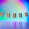 Rainbow Pride Bunting - 12 Feet