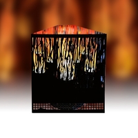 Red Led Vine Firebox - Flame Effect for Unused Fire Place