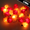 Red/Cream Rose String Lights