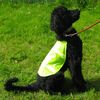 Reflective Safety Pet Vest