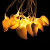 Sea Shell String Lights