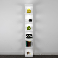Shelby Light Up Tower Display Unit (21689)