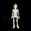 Skeletons Glow in the Dark - 16 Pack