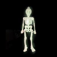 Skeletons Glow in the Dark - 16 Pack