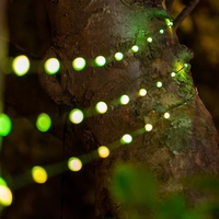 Snowdrop Colour Change Solar USB Lights - Solar Centre