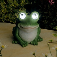 Solar Bright Eyed Frog
