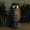 Solar Decoy Owl with Moving Head