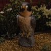 Solar Decoy Peregrine Falcon