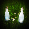 Solar Frosted Bottles (2 Pack) (19280)
