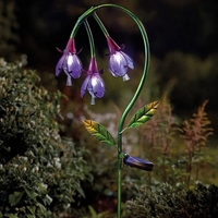 Solar Fuchsia Stake Light