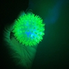 Squeaky LED Light Up Ball for Dogs