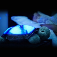 Twilight Turtle Tunes