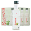 Berentzen Saurer Apfel Schnapps 24x 4cl Miniature Pack