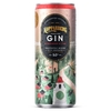 Kopparberg Strawberry & Lime Premixed Gin and Lemonade 250ml