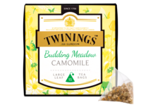 Discovery Collection Budding Meadow Camomile - Pyramid Tea Bags