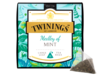 Discovery Collection Medley of Mint - Pyramid Tea Bags