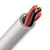 AudioQuest Type 2 Off White Speaker Cable - Price Per Metre