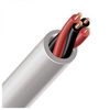 AudioQuest Type 2 Off White Speaker Cable - Price Per Metre