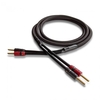 AudioQuest Type 5 Speaker Cable