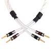 QED Genesis Speaker Cable - 4m Metal Airloc Both Ends (4 Plugs)
