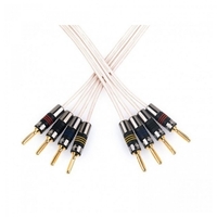 QED Performance Bi-Wire Speaker Cable w/QED Metal Airloc Banana 10m