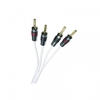 QED Silver Anniversary XT Bi-Wire Speaker Cable