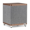 Ruark RS1 Subwoofer Rich Walnut