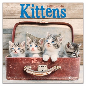Kittens Mini Calendar 2019