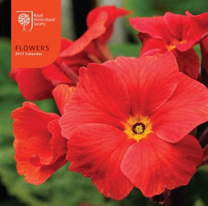 RHS Flowers CD Calendar 2017