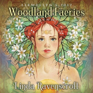 Woodland Faeries Deluxe Calendar 2017