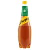 Schweppes Canada Dry Ginger Ale