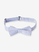 Striped Bow-Tie for Boys blue medium striped