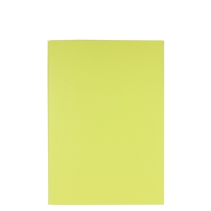 A5 Pistachio dual tone plain notebook