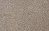 Amore Plain Carpet