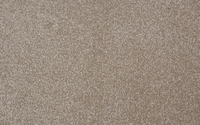 Amore Plain Carpet