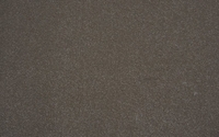 Attraction Carpet