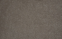 Attraction Carpet