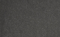 Attraction Carpet