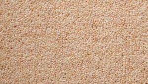 Temple Twist 40