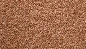 Temple Twist 40