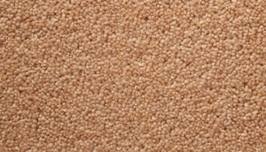 Temple Twist 40