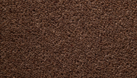 Temple Twist 40