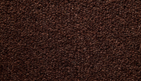 Temple Twist 40