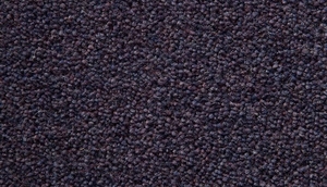 Temple Twist 40