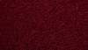Temple Twist 40