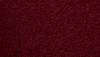 Temple Twist 40