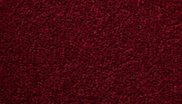 Temple Twist 40