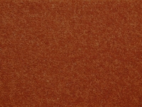 Victoria Darcy Twist 40 Carpet